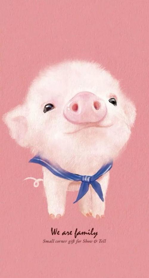 吃瓜少女猪小冰,吃瓜少女的甜蜜瓜界探险记