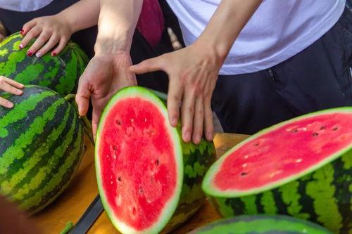 江西大学的吃瓜,吃瓜群众眼中的校园美食盛宴