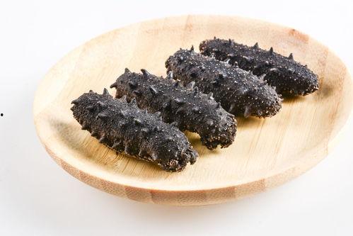 吃瓜少女做海参,吃瓜少女的海参探秘之旅