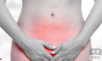 来月经小瓜可以吃吗,营养健康两不误”