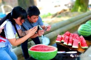 吃瓜群众甜辞,甜辞里的吃瓜众生相