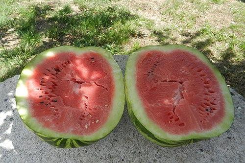 梦见吃金色瓜,金色瓜果的神秘启示